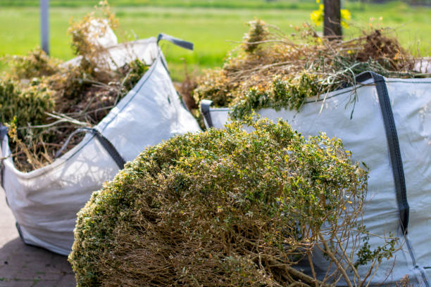 Best Office Junk Removal  in Charleston, IL